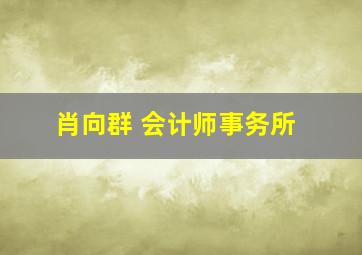 肖向群 会计师事务所